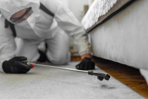 Professional Bed Bug Control technician working in French Island, WI