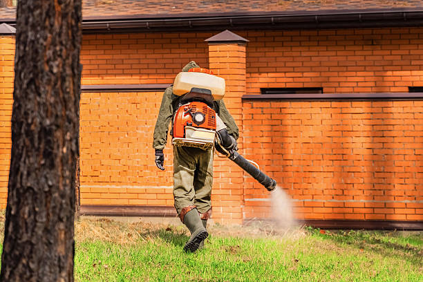 Trusted Cockroach Control service in French Island, WI - Nex Pest Control